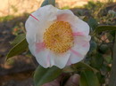 Gairinzan (Higo)