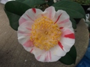 Gairizan