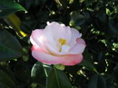 Lady Gowrie