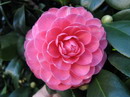Princess Anne